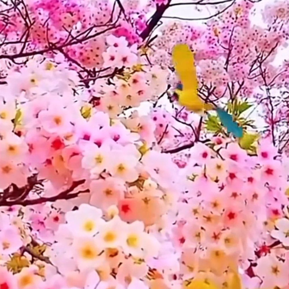 Meet your Posher, Andaria LLC